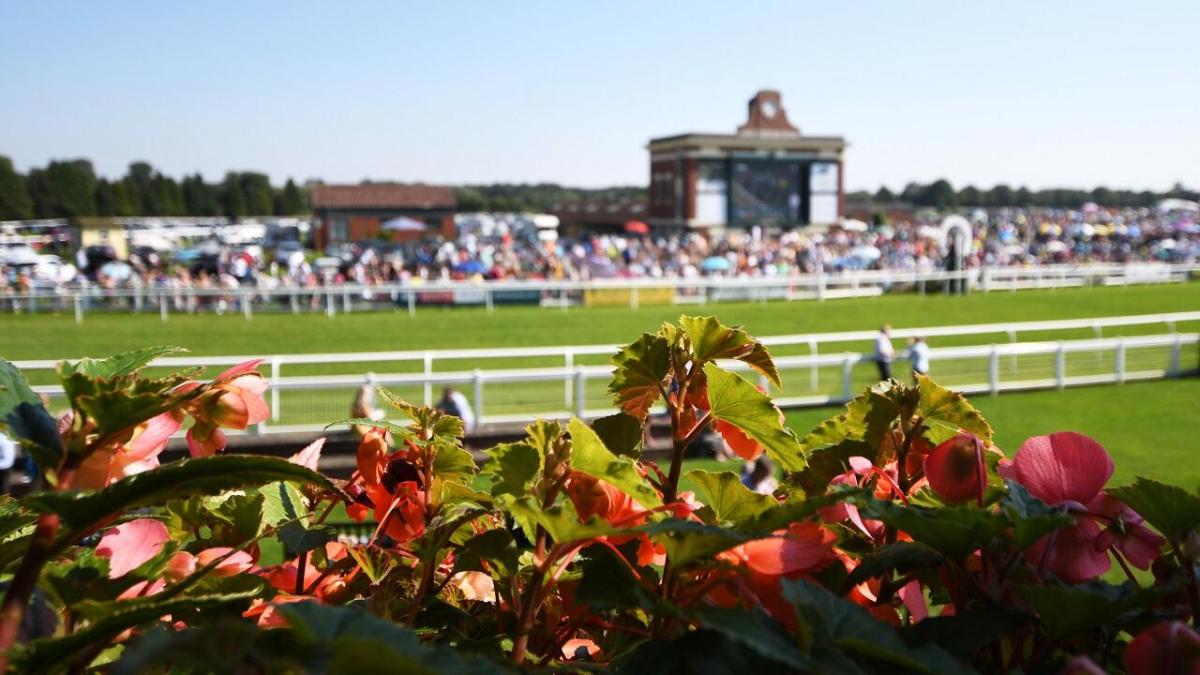 Ripon Racecourse